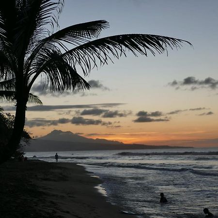 La Villa Caribeenne De La Plage Des Surfeurs La Trinité Eksteriør bilde