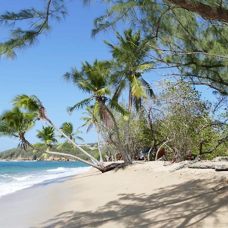 La Villa Caribeenne De La Plage Des Surfeurs La Trinité Eksteriør bilde
