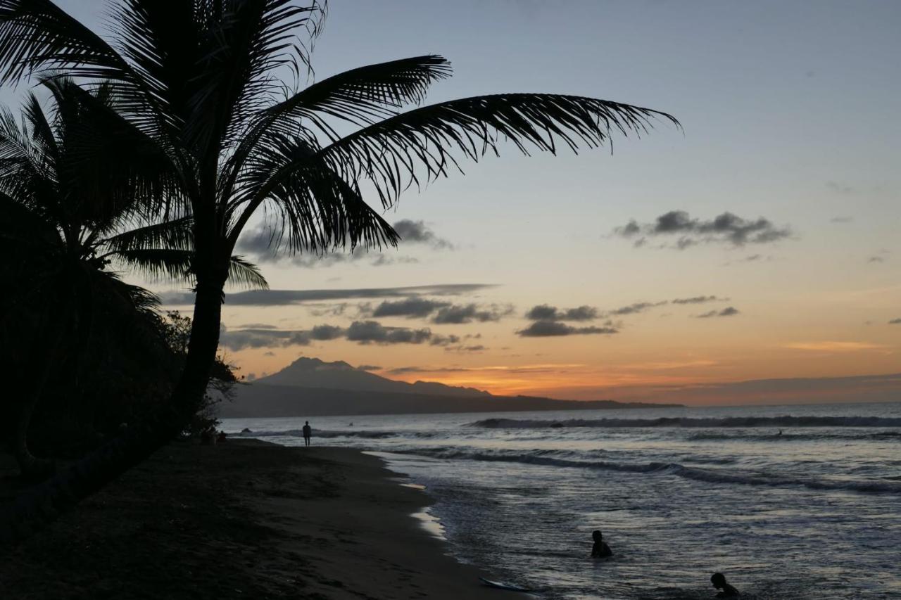 La Villa Caribeenne De La Plage Des Surfeurs La Trinité Eksteriør bilde